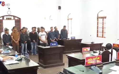 Đắk Nông xét xử đường dây gỗ lậu Phượng "râu"
