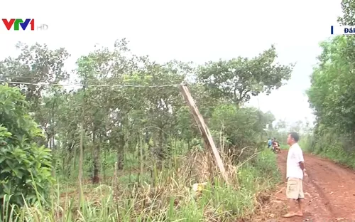 Cảnh báo mất an toàn lưới điện khu vực nông thôn