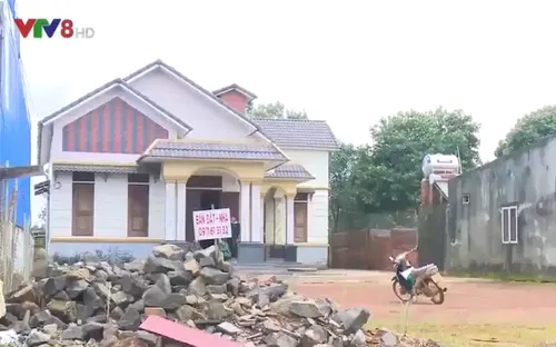 "Xã tỉ phú" khó khăn vì hồ tiêu mất giá