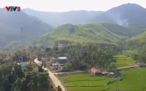 Bình Định tập trung đầu tư hạ tầng khu vực miền núi