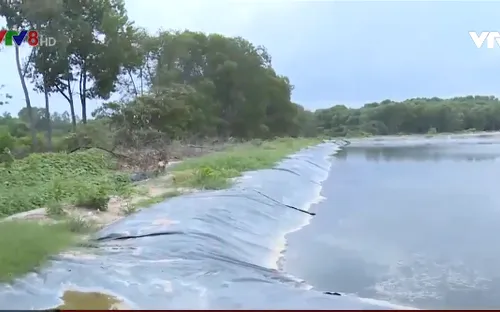 Huế: Nhà máy chế biến tinh bột sắn xả thải ô nhiễm môi trường