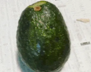 Sửng sốt trước nghệ thuật điêu khắc... hoa quả