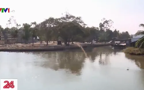 Vĩnh Long: Độ mặn đã chạm ngưỡng lịch sử 10‰