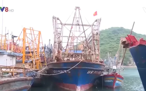 Bình Định: Báo cáo Thủ tướng tàu cá Nghị định 67 không mua được bảo hiểm
