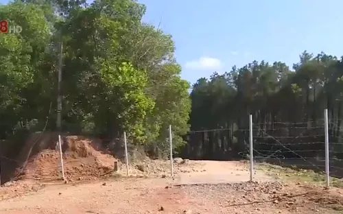 Thừa Thiên - Huế: Nhiều hàng rào trên cao tốc bị phá hoại