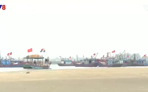 Ngư dân Hà Tĩnh ra khơi đầu năm mới