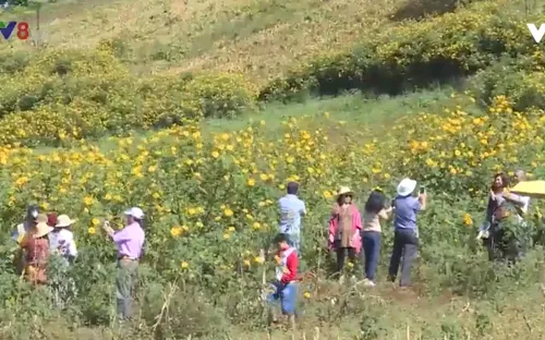 Gia Lai: Du lịch cộng đồng khởi sắc mùa Tết