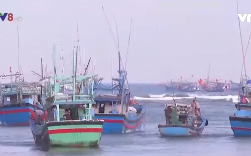 Ngư dân câu cá ngừ đại dương ăn Tết trên biển