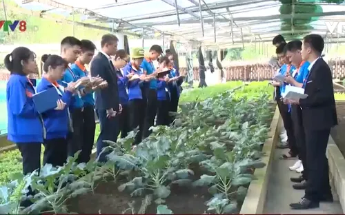 Thừa Thiên - Huế đặt mục tiêu xuất khẩu 10.000 lao động