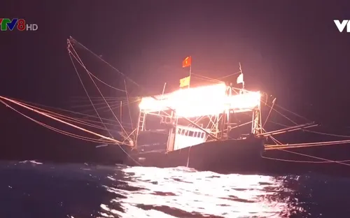 Ra khơi ngày cuối năm