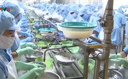 Hà Tĩnh đẩy mạnh xuất khẩu thủy hải sản