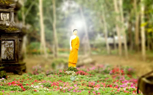 Mùa xuân trên tổ đình Vạn Đức