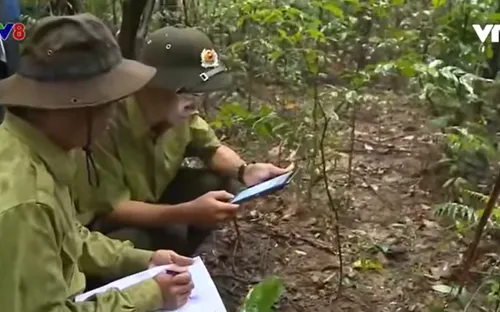 Công tác quản lý, bảo vệ rừng ở các khu bảo tồn tại Thừa Thiên - Huế