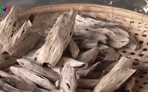 Nhộn nhịp vụ sản xuất Tết tại làng nghề trầm hương