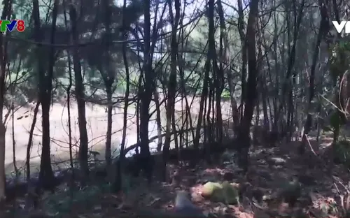 Đà Nẵng: Công viên thành đất trống bỏ hoang