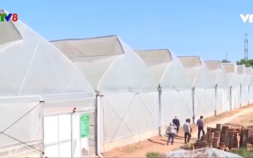 Dự án nông nghiệp công nghệ cao hoạt động không phép