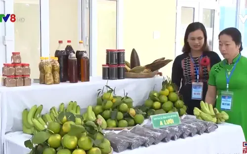 Đại hội liên minh hợp tác xã Thừa Thiên - Huế