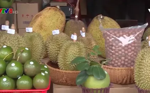 Đắk Lắk: Khai mạc Hội chợ thương mại nông nghiệp trái cây năm 2020