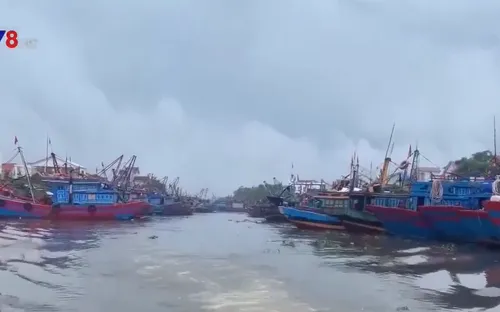 Các tỉnh miền Trung ứng phó với bão số 7 đỗ bộ vào đất liền