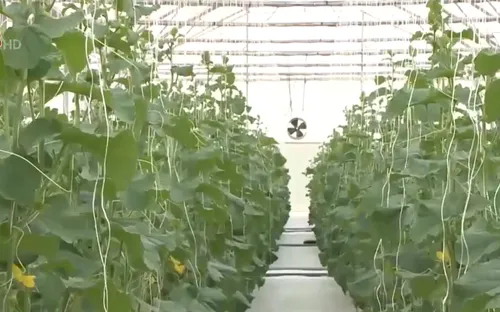 Nông nghiệp thông minh, kinh nghiệm từ Kon Plông