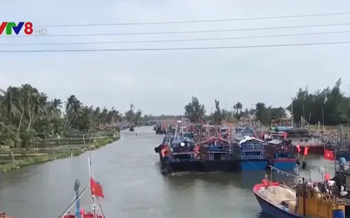 Quảng Ngãi khẩn trương ứng phó với bão số 9