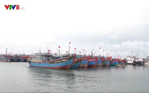 Lý Sơn: Kêu gọi tàu thuyền vào nơi tránh trú bão an toàn