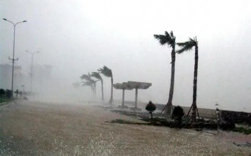 Những cơn bão lịch sử đã từng đổ bộ vào Việt Nam