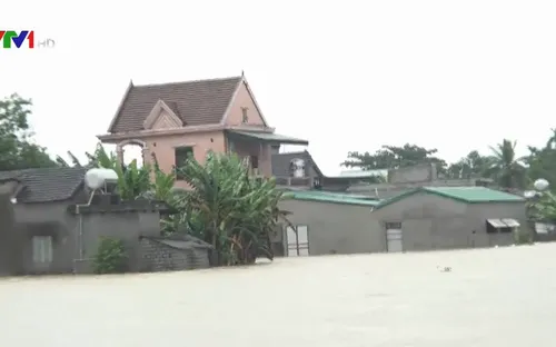 Mưa lớn nhấn chìm hàng trăm ngôi nhà tại Nghệ An