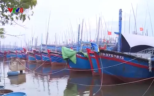 Kiểm tra thiệt hại do bão số 9 tại tỉnh Bình Định