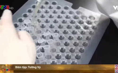 WHO: Vaccine ngừa COVID-19 có thể sẵn sàng vào cuối năm 2020
