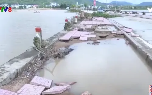 Phú Yên khắc phục hậu quả sau bão số 12