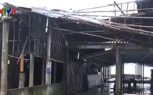 Thiệt hại do bão số 13 tại Quảng Trị