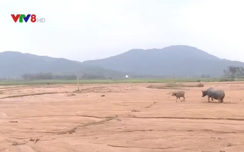 Hà Tĩnh: Người dân mất đất sản xuất do sạt lở