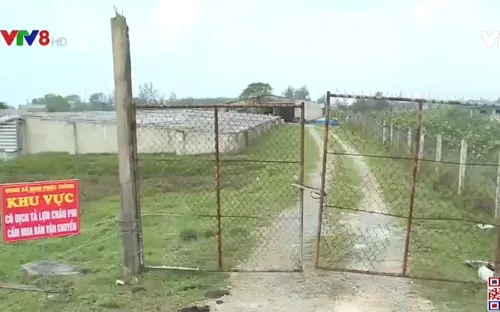 Hà Tĩnh ngăn chặn dịch tả lợn Châu phi bùng phát