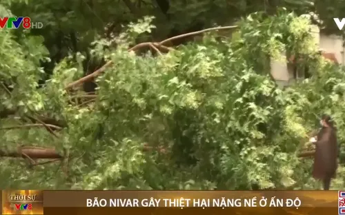 Bão Nivar đổ bộ Ấn Độ