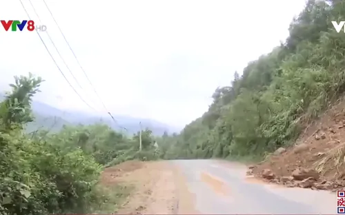 Đà Nẵng chủ động di dời dân khỏi vùng có nguy cơ sạt lở