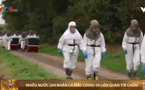 Nhiều nước ghi nhận ca mắc Covid-19 liên quan tới chồn hương