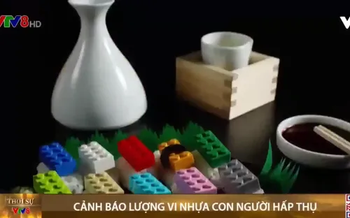 Cảnh báo lượng vi nhựa con người hấp thụ