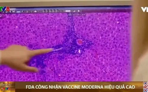 FDA công nhận vaccine Moderna hiệu quả cao