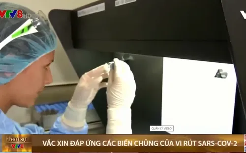 Vaccine COVID-19 đáp ứng với tất cả biến chủng virus