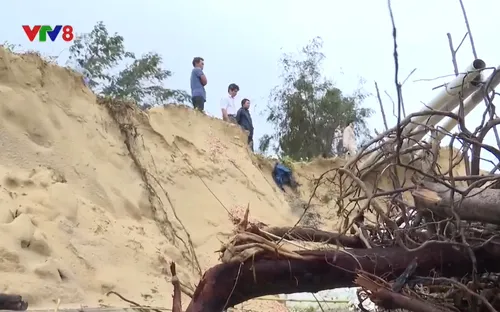 Quảng Nam: Sạt lở bờ biển Tam Hải chưa có dấu hiệu dừng lại