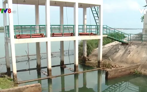 Hạn mặn đe doạ sản xuất vụ Đông Xuân ở Quảng Nam