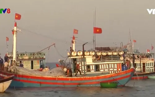 Ngư dân Lý Sơn nói không với đánh bắt hải sản trái pháp luật
