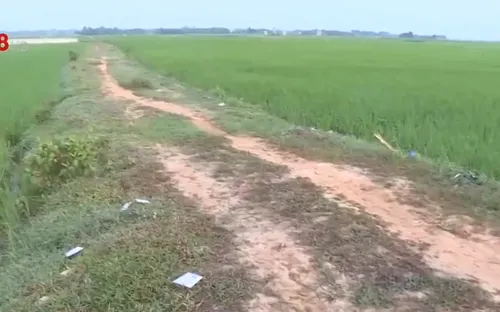 Cần xử lý tình trạng phun, vứt bỏ thuốc bảo vệ thực vật ảnh hưởng nguồn nước