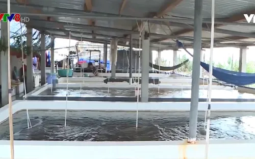 Thừa Thiên - Huế: Thiếu nguồn giống cho vụ nuôi trồng thủy sản mới