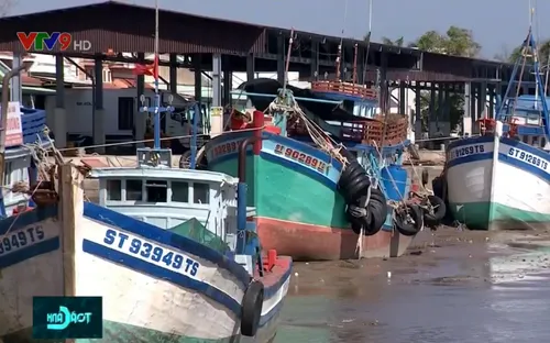 Nỗ lực không có tàu cá vi phạm, tiến tới gỡ thẻ vàng từ EC