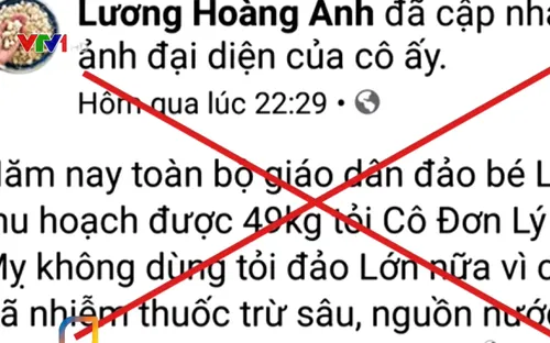 Phạt 12,5 triệu đồng nữ doanh nhân tung tin sai về tỏi Lý Sơn