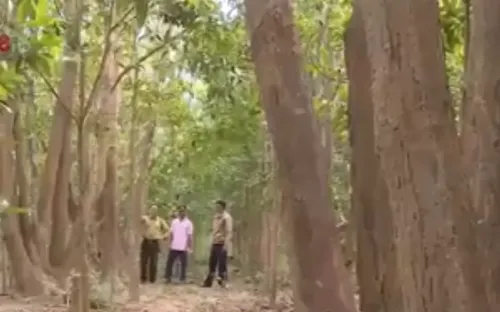 Gia Lai: Người Bana giữ rừng gỗ quý