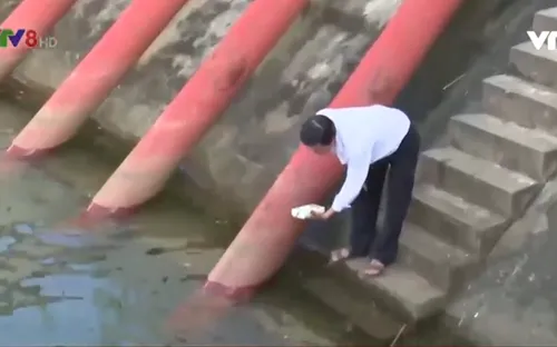 Quảng Nam lên phương án chống hạn vụ đông xuân