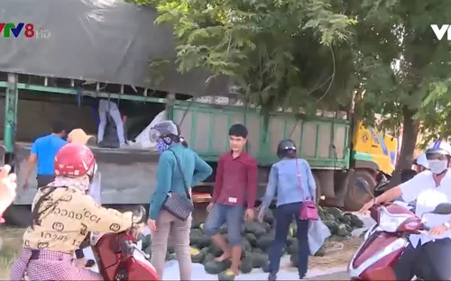 Phú Yên: Nhiều hình thức giúp nông dân tiêu thụ dưa hấu